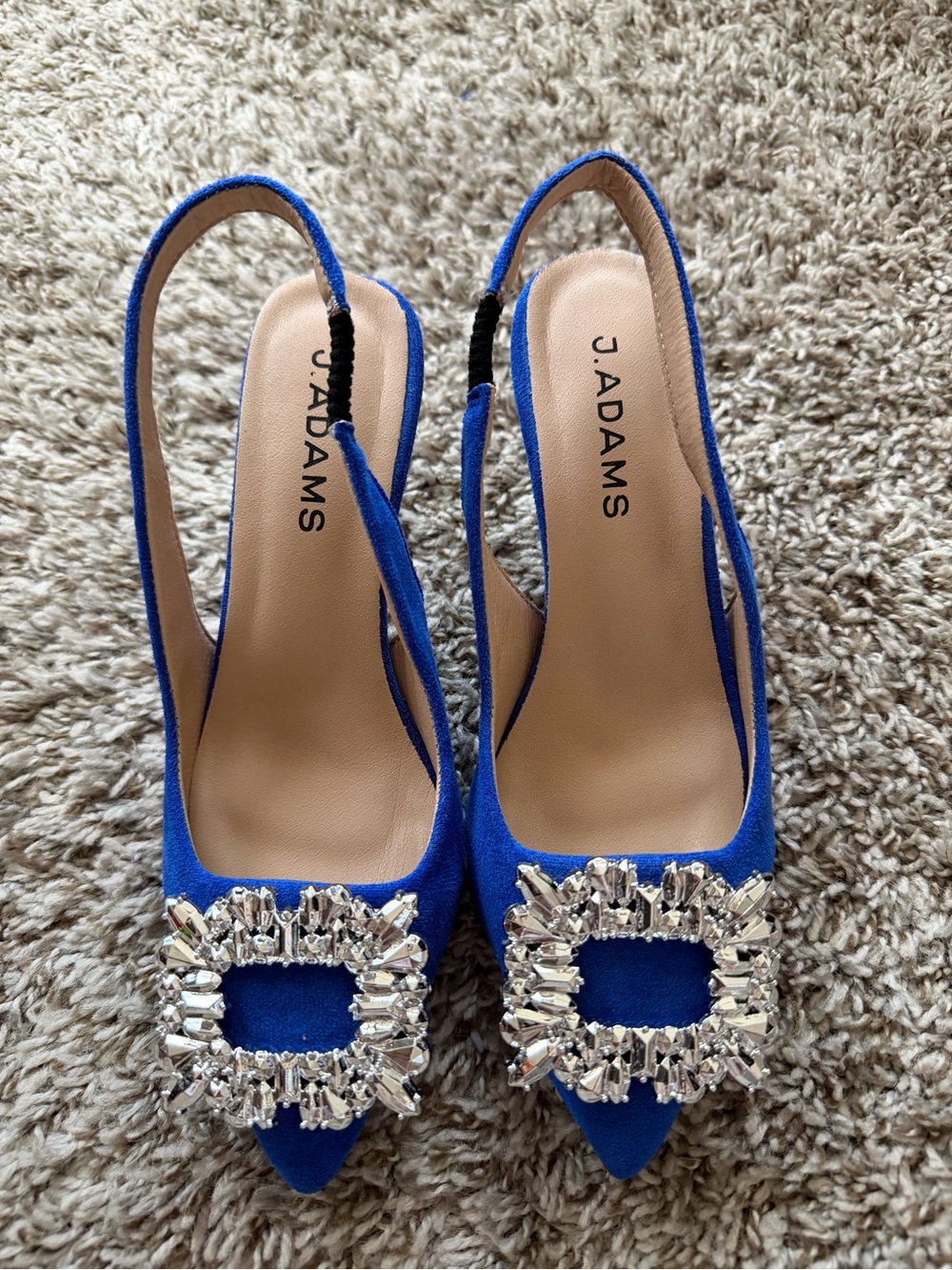 Adams Blue Pointed Slingback Heels with Crystal Buckle - Picture 3 of 5